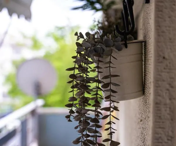 דירה Lilly's House