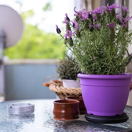 公寓 Lilly's House