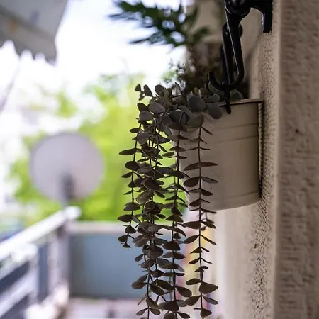 아파트 Lilly's House