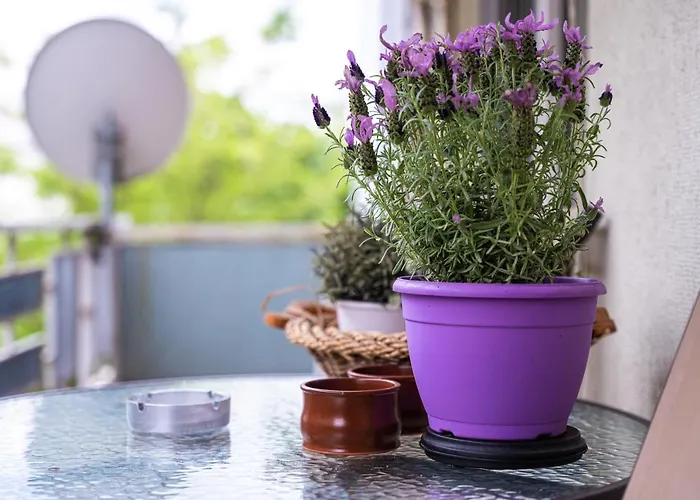 Διαμέρισμα Lilly's House